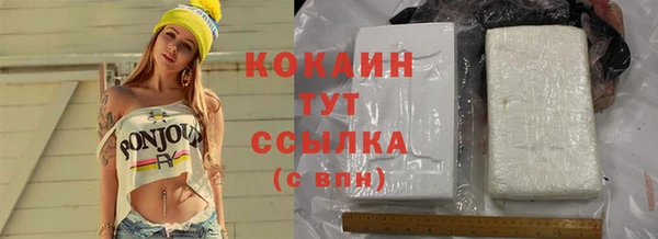 индика Алзамай