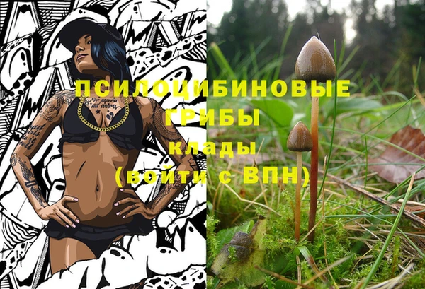 spice Абинск