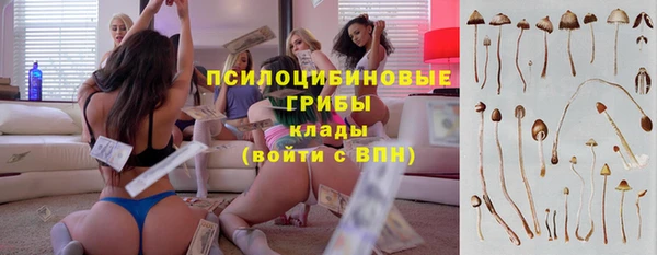 хмурый Абдулино