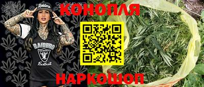 Альфа ПВП Донской
