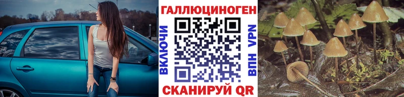 Псилоцибиновые грибы ЛСД  ссылка на мегу   Назрань 