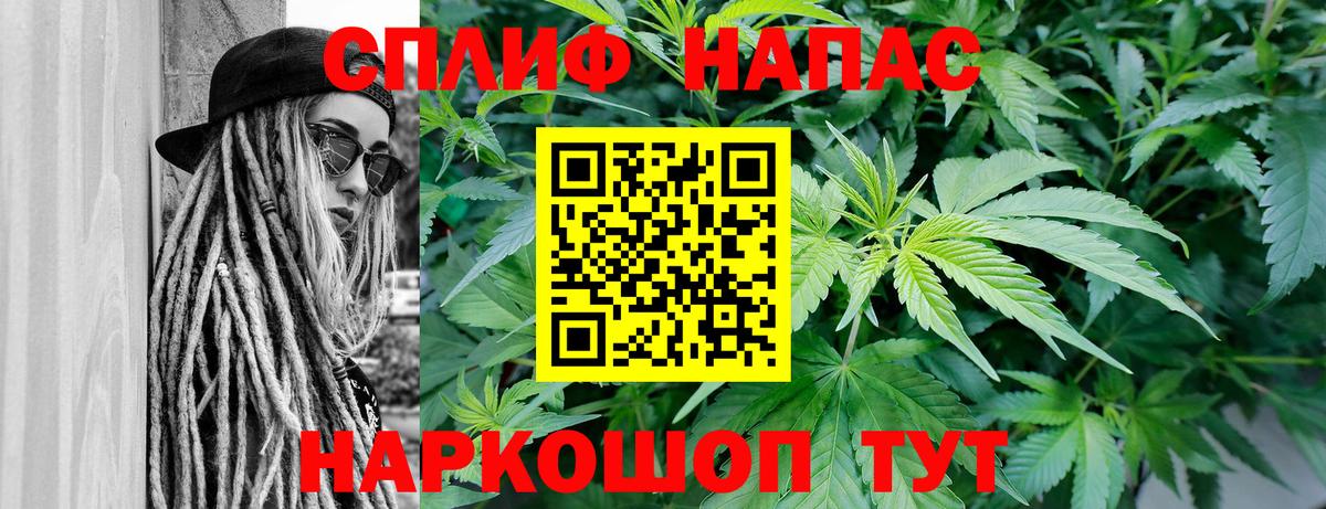 Канабис сатива Назрань